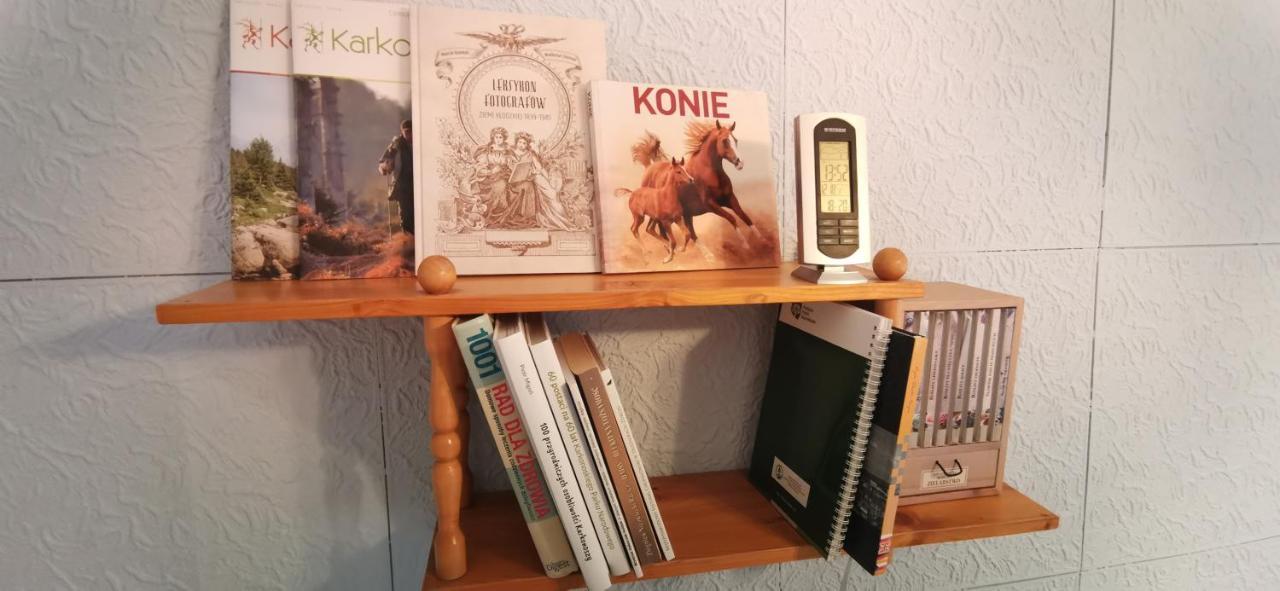 Apartament Milka W Dusznikach Zdroju Duszniki Zdrój Extérieur photo