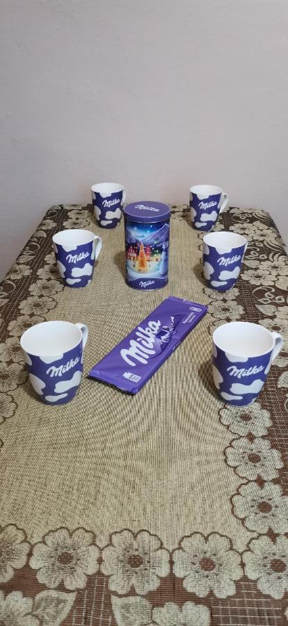 Apartament Milka W Dusznikach Zdroju Duszniki Zdrój Extérieur photo