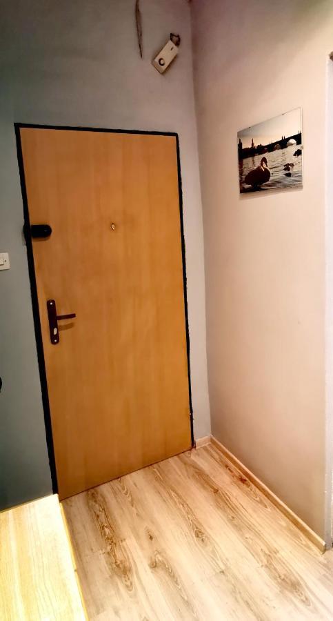 Apartament Milka W Dusznikach Zdroju Duszniki Zdrój Extérieur photo