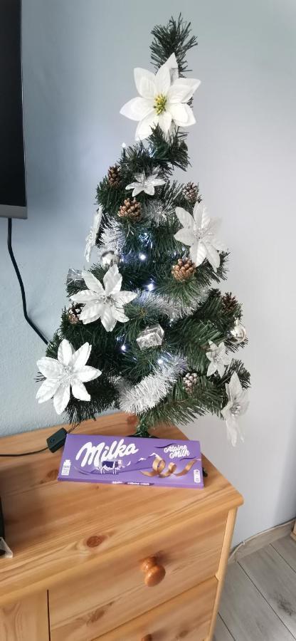 Apartament Milka W Dusznikach Zdroju Duszniki Zdrój Extérieur photo